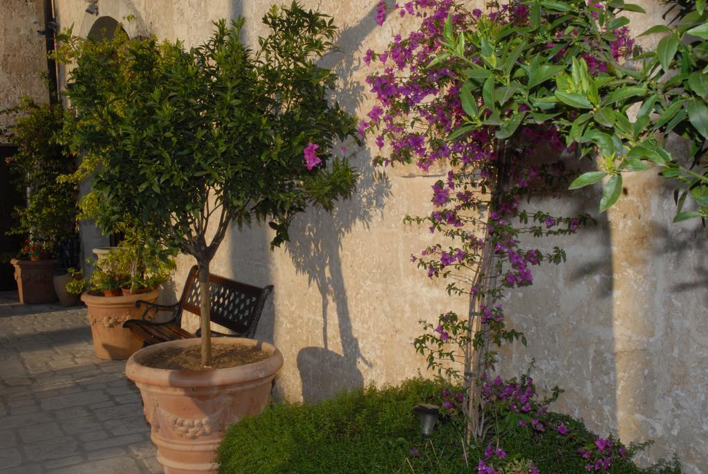 مبيت وإفطار توري سانتا سوزانا Castello Conti Filo المظهر الخارجي الصورة